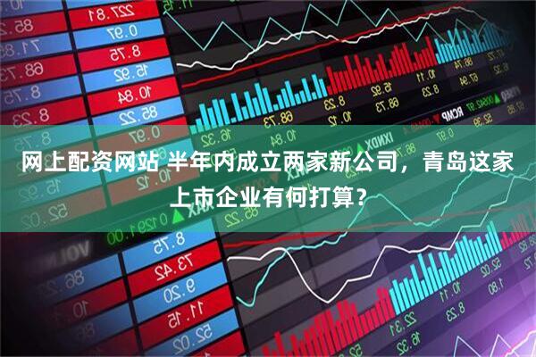 网上配资网站 半年内成立两家新公司，青岛这家上市企业有何打算？