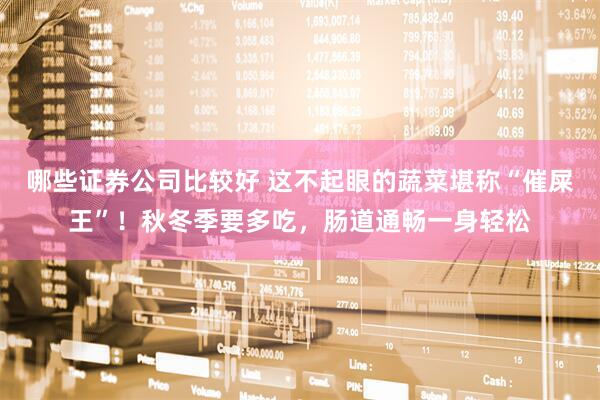 哪些证券公司比较好 这不起眼的蔬菜堪称“催屎王”！秋冬季要多吃，肠道通畅一身轻松