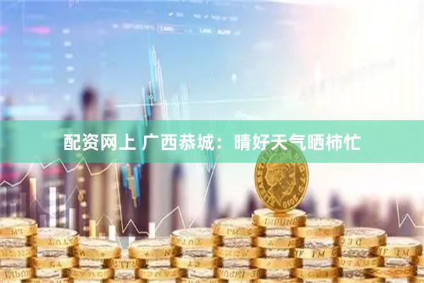 配资网上 广西恭城：晴好天气晒柿忙