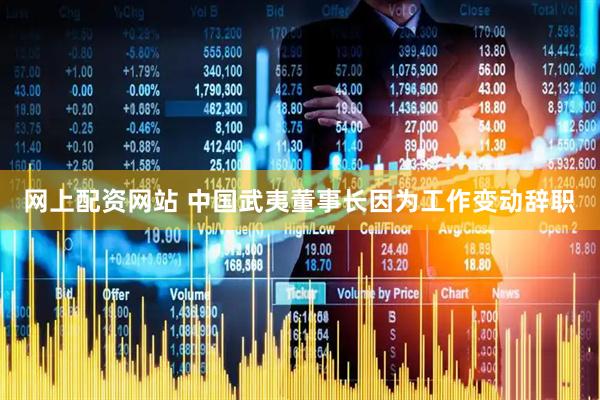 网上配资网站 中国武夷董事长因为工作变动辞职